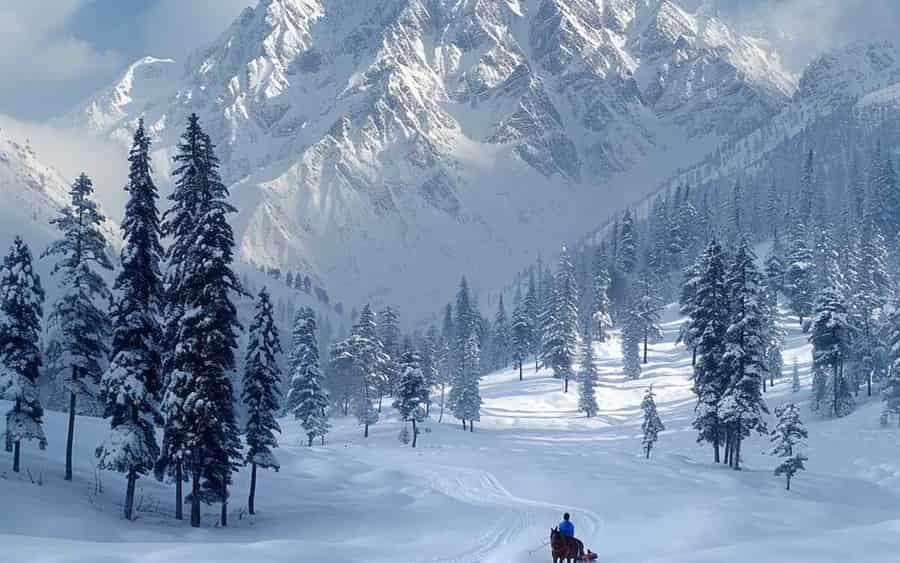 Affordable Cab Booking Service In Kashmir